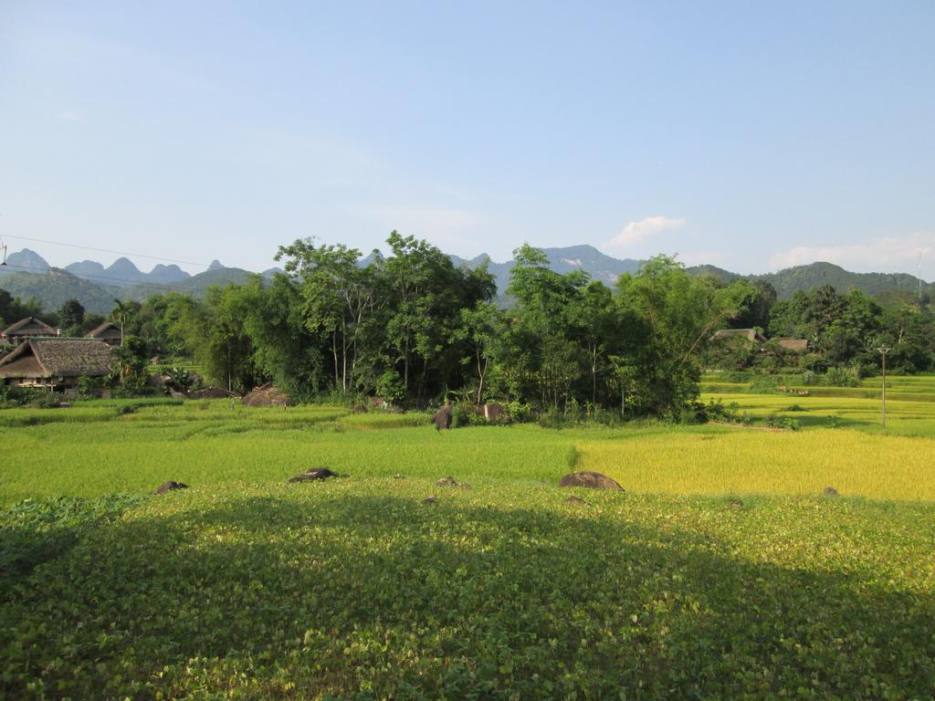 Dong Que Homestay-Tours-Motorbike, Car Rental, Hiking Ha Giang Buitenkant foto