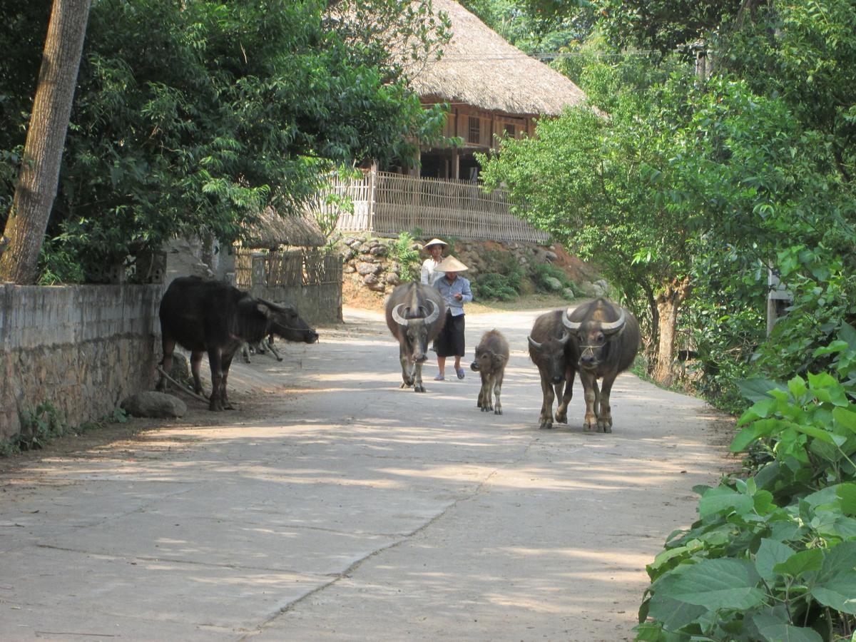 Dong Que Homestay-Tours-Motorbike, Car Rental, Hiking Ha Giang Buitenkant foto
